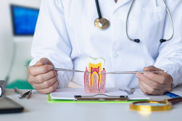 Best Emergency Dental Care for Broken or Chipped Teeth in Ntgomery City, MO